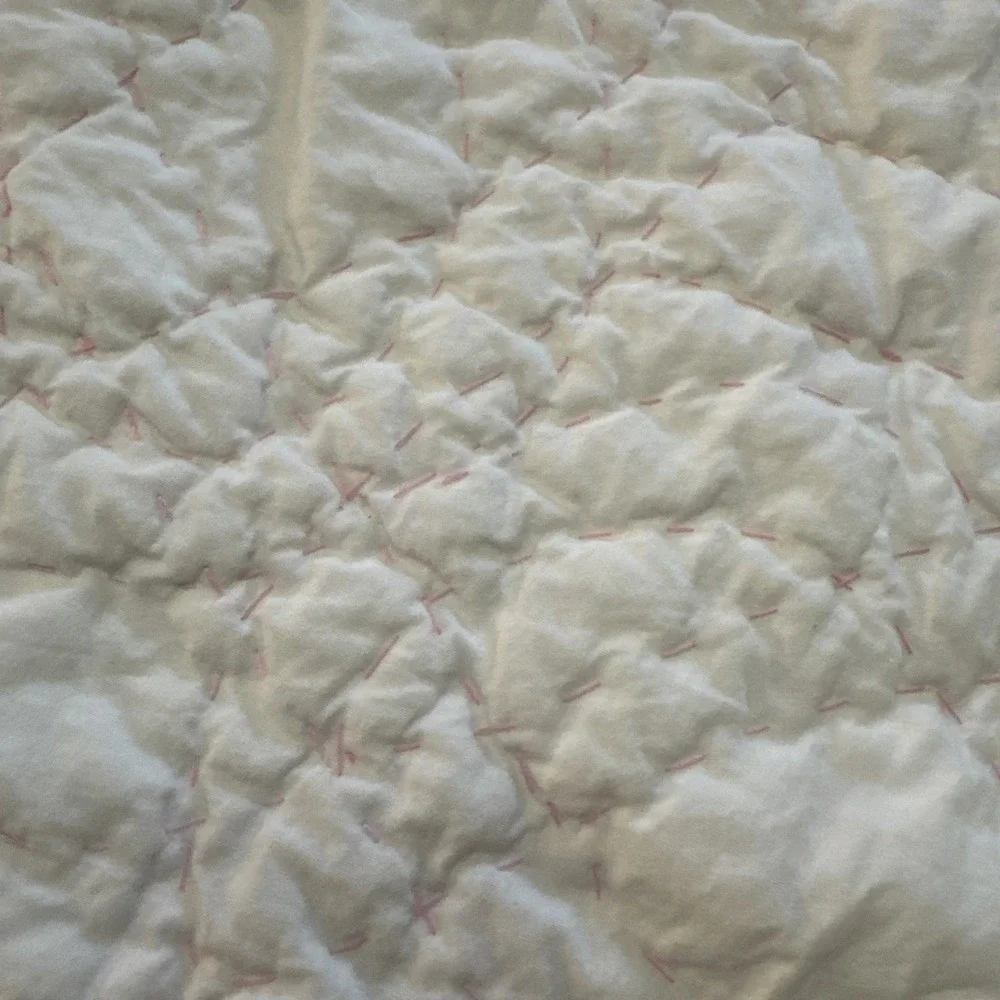 Simply Shabby Chic Pillow Sham Set Pair STANDARD Cherry Blossom Quilt White Pink
